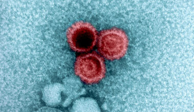 Giant Study Reveals Why Some Viruses Hide Inside Your Body For Life : ScienceAlert