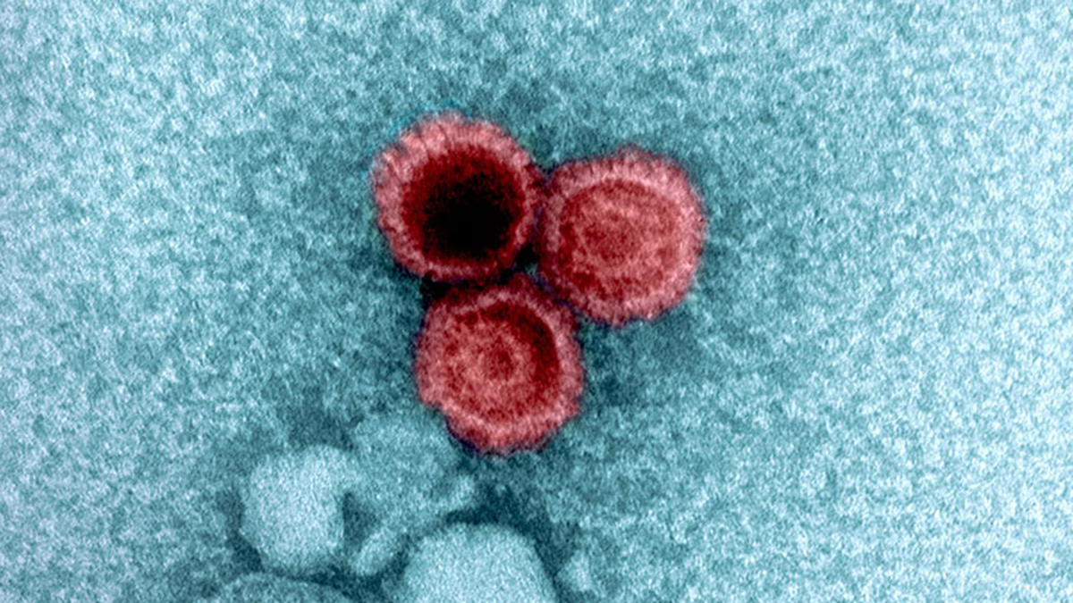 Giant Study Reveals Why Some Viruses Hide Inside Your Body For Life : ScienceAlert