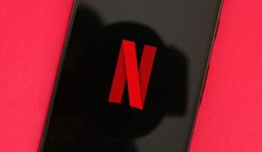 Netflix ordered to pay back millions of subscribers in landmark ruling