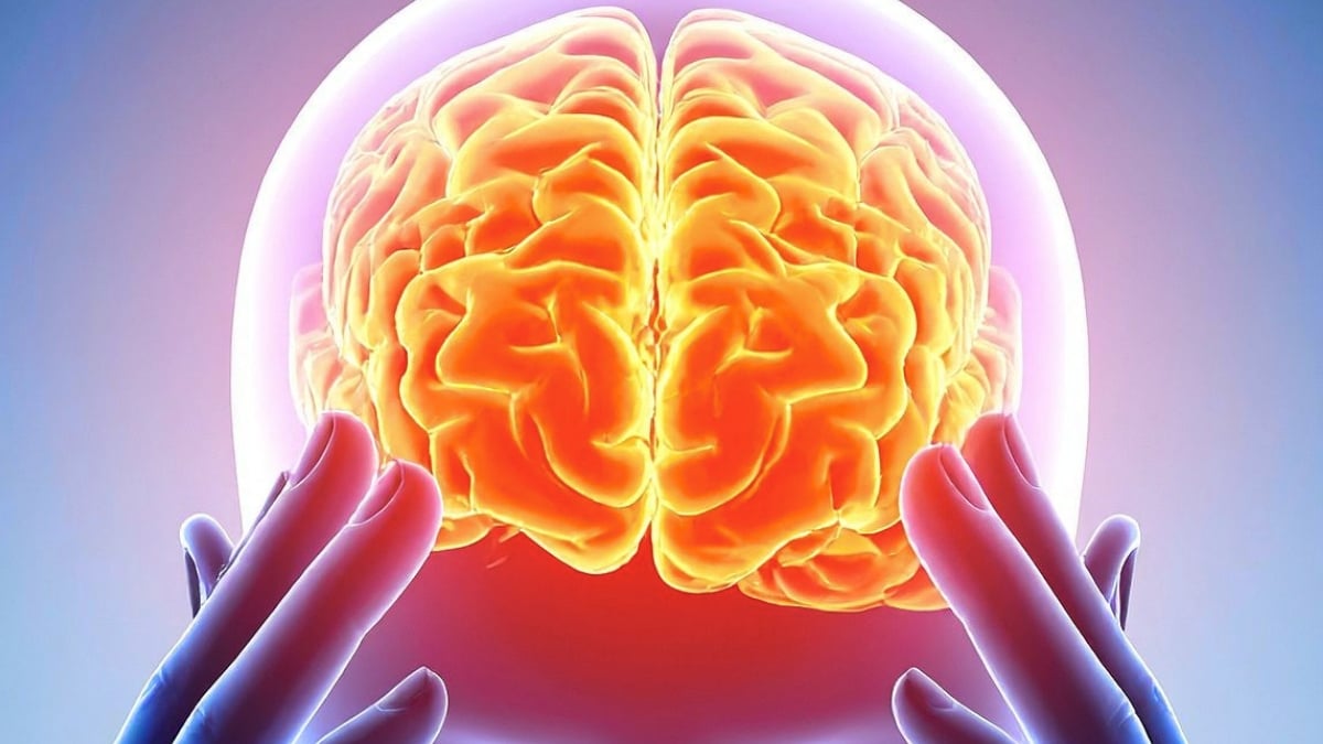Scientists Found a Common Brain 'Fingerprint' Across 5 Psychedelics : ScienceAlert