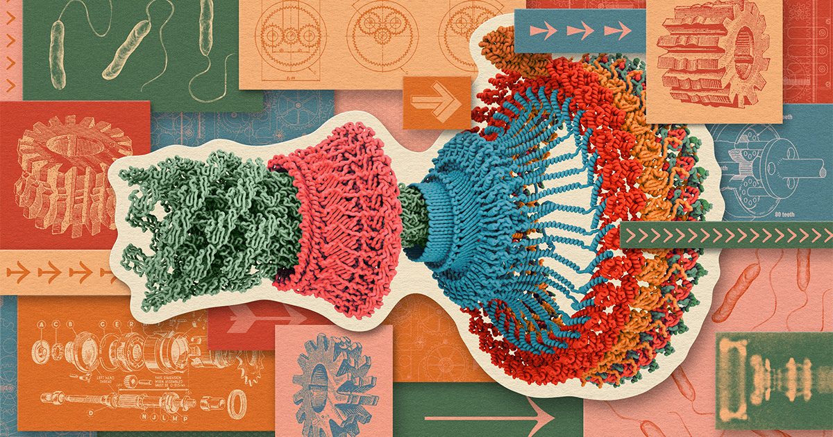 What Physical ‘Life Force’ Turns Biology’s Wheels?