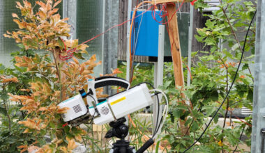 Special cameras helped scientists pinpoint when a combination of heat and drought conditions cause changes in individual oak leaves. Credit: Alyssa Kullberg