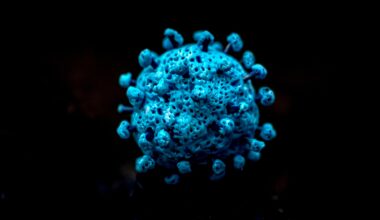 What to Know About Cicada, the New COVID Variant