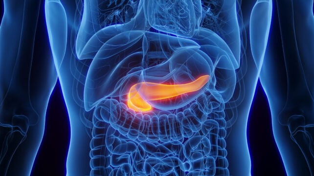 Prostate Vaccine