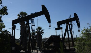 The real cause of inflation isn't oil prices, says Johns Hopkins economist