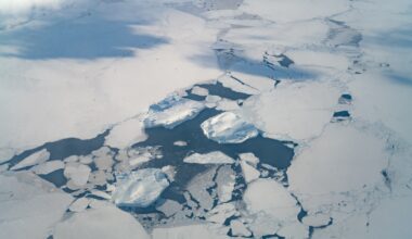 Oceans absorb the Earth's excess energy, imperiling food systems