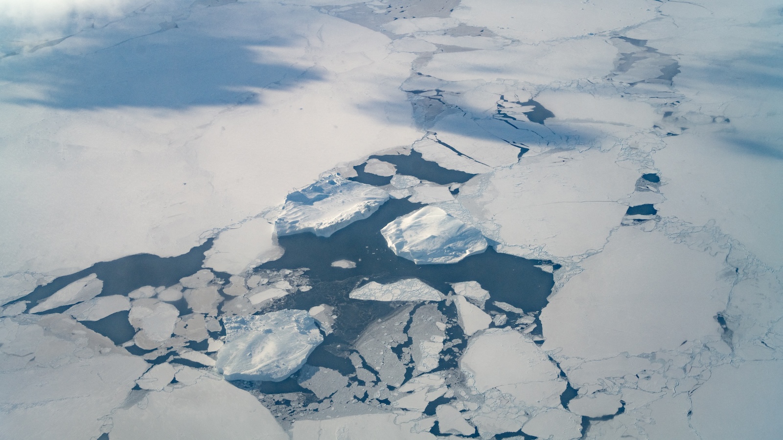 Oceans absorb the Earth's excess energy, imperiling food systems