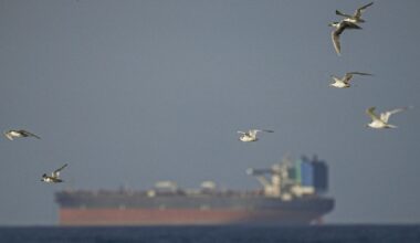 Spoofed Tankers Are Flooding the Strait of Hormuz. These Analysts Are Tracking Them