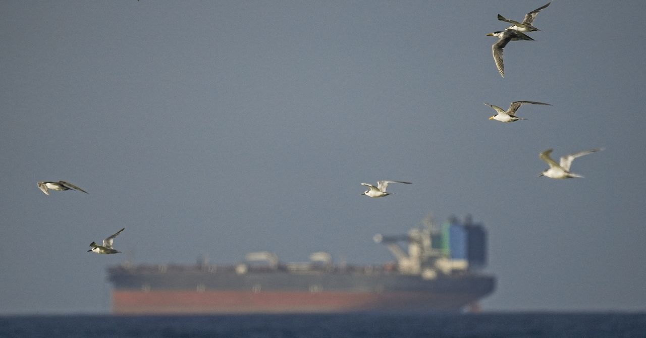 Spoofed Tankers Are Flooding the Strait of Hormuz. These Analysts Are Tracking Them