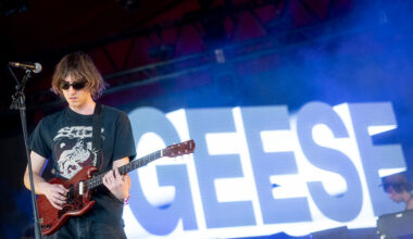 It’s Okay to Like Geese