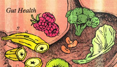 11 Tasty Foods for Good Gut Health