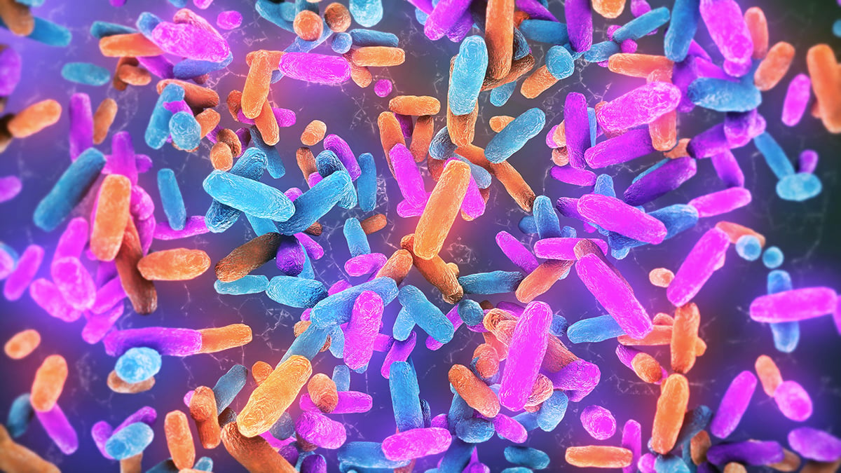 Gut Bacteria Could Be a Hidden Trigger For Neurodegenerative Diseases : ScienceAlert