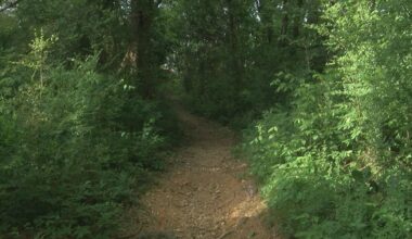 Wildlife scare in Trussville sparks questions about who to call in emergency