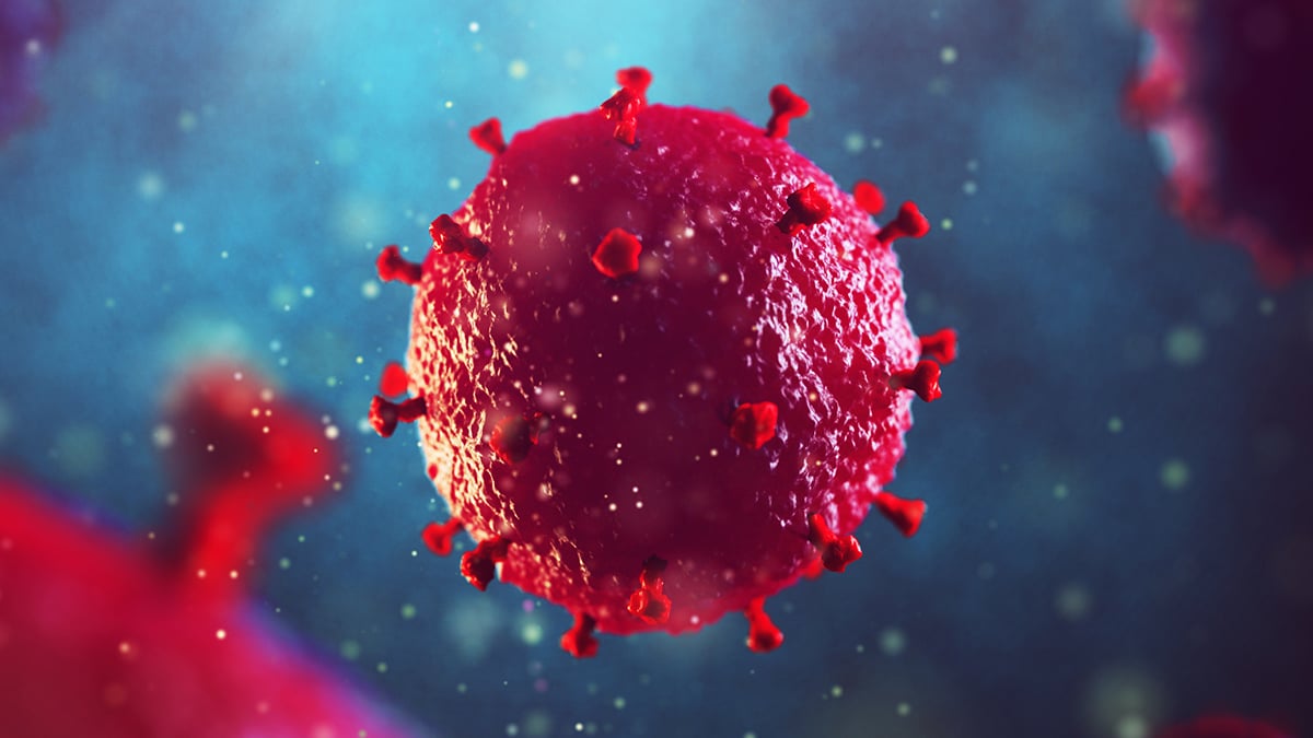 Sibling Stem Cell Transplant Leads to Rare HIV Remission in 'Oslo Patient' : ScienceAlert