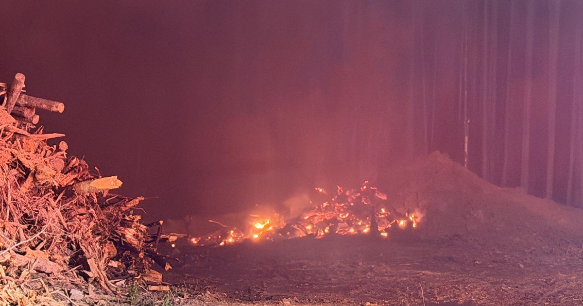 Brush fires burn across central NC as breezy, dry conditions persist :: WRAL.com