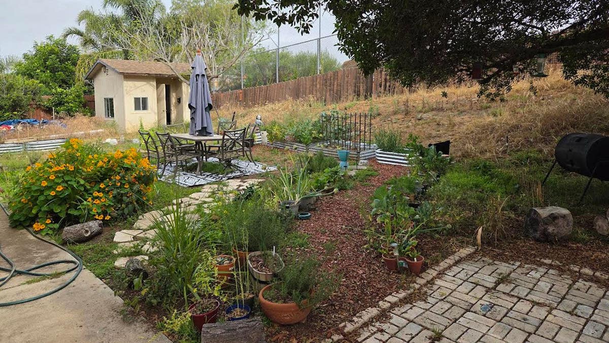 Jim T. in San Diego shows off his garden to the Screencaps community.