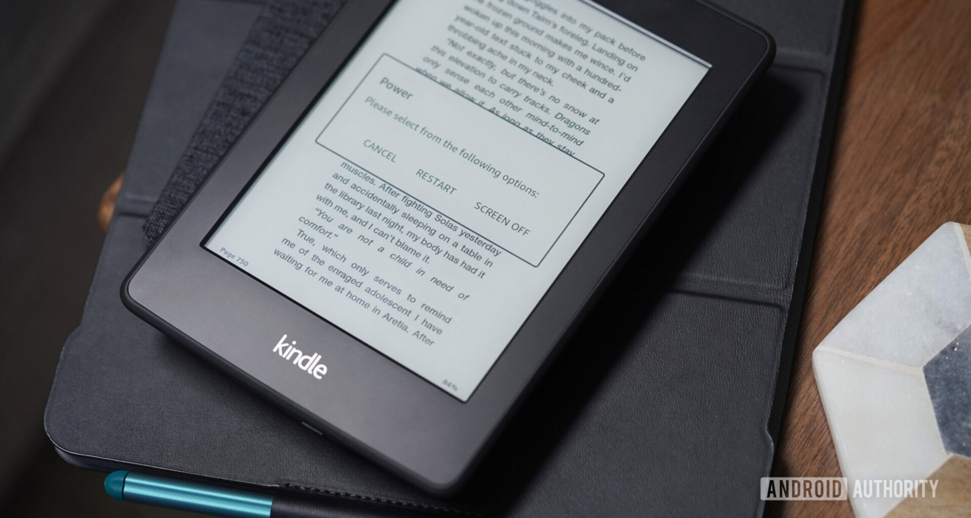 A user sets their Kindle screen to blank.