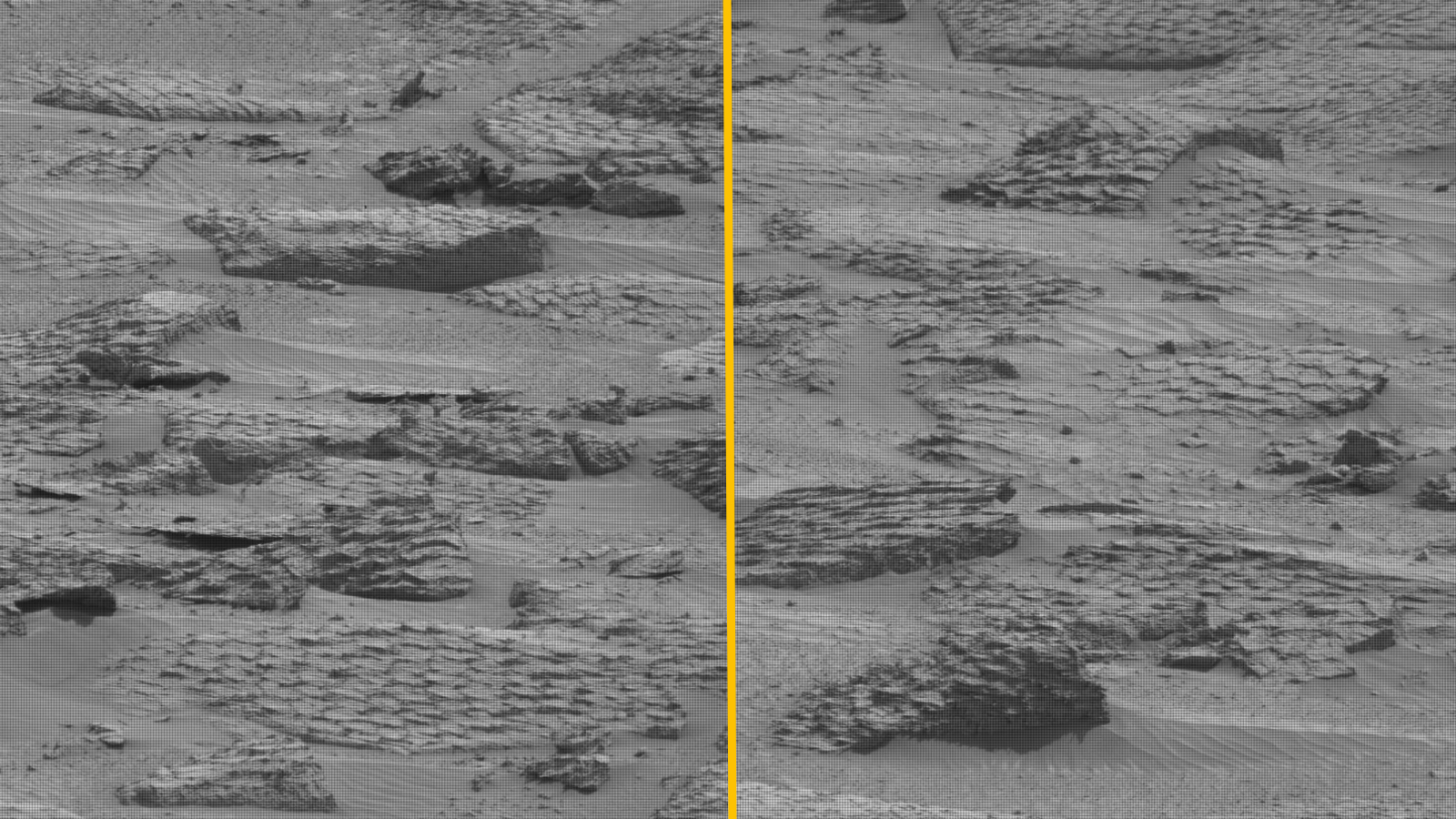 Side-by-side black and white photos of polygon covered rocks on Mars that look like giant reptile scales