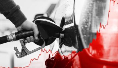 Inflation Panic Hits Consumers, Sentiment Falls To Record Low - United States Gasoline Fund LP (ARCA:UGA)