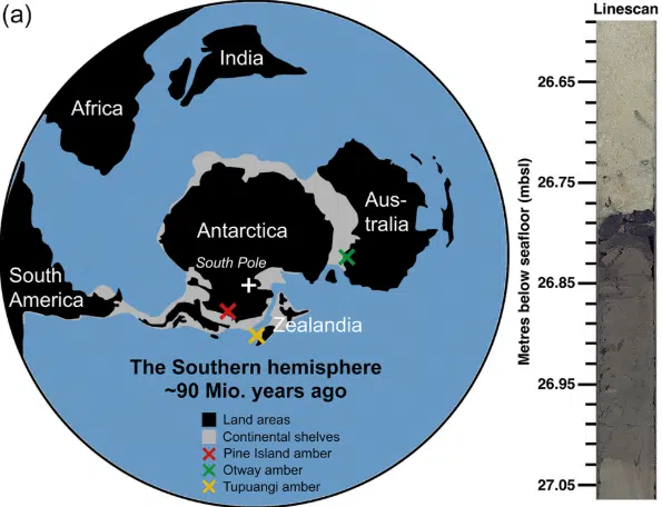 Map Of The Southern Hemisphere 90 Million Years Ago Showing The Antarctic Amber Discovery Site And Comparable Deposits In Australia And New Zealand.
