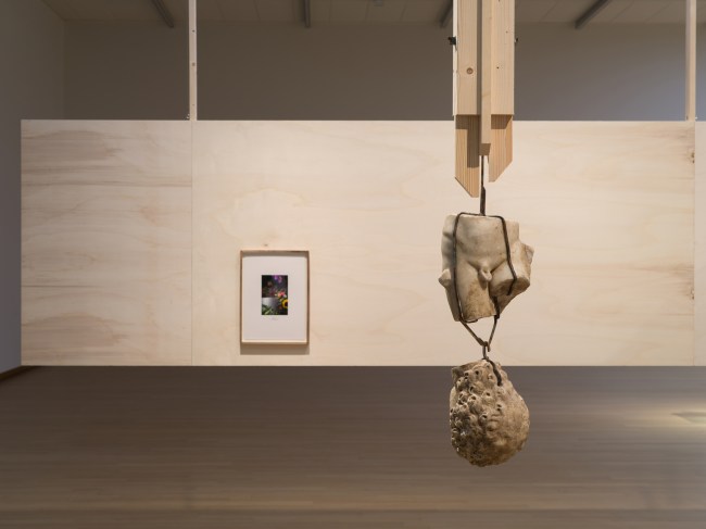 Danh Vo’s Wandering Objects at the Stedelijk Museum Amsterdam