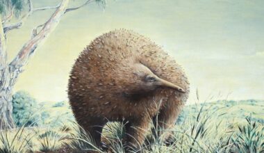 Owen’s giant echidna