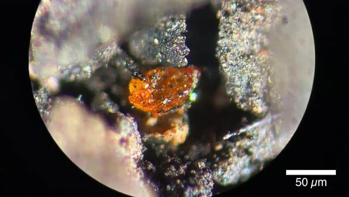 Microscopic View Of A Tiny Antarctic Amber Fragment