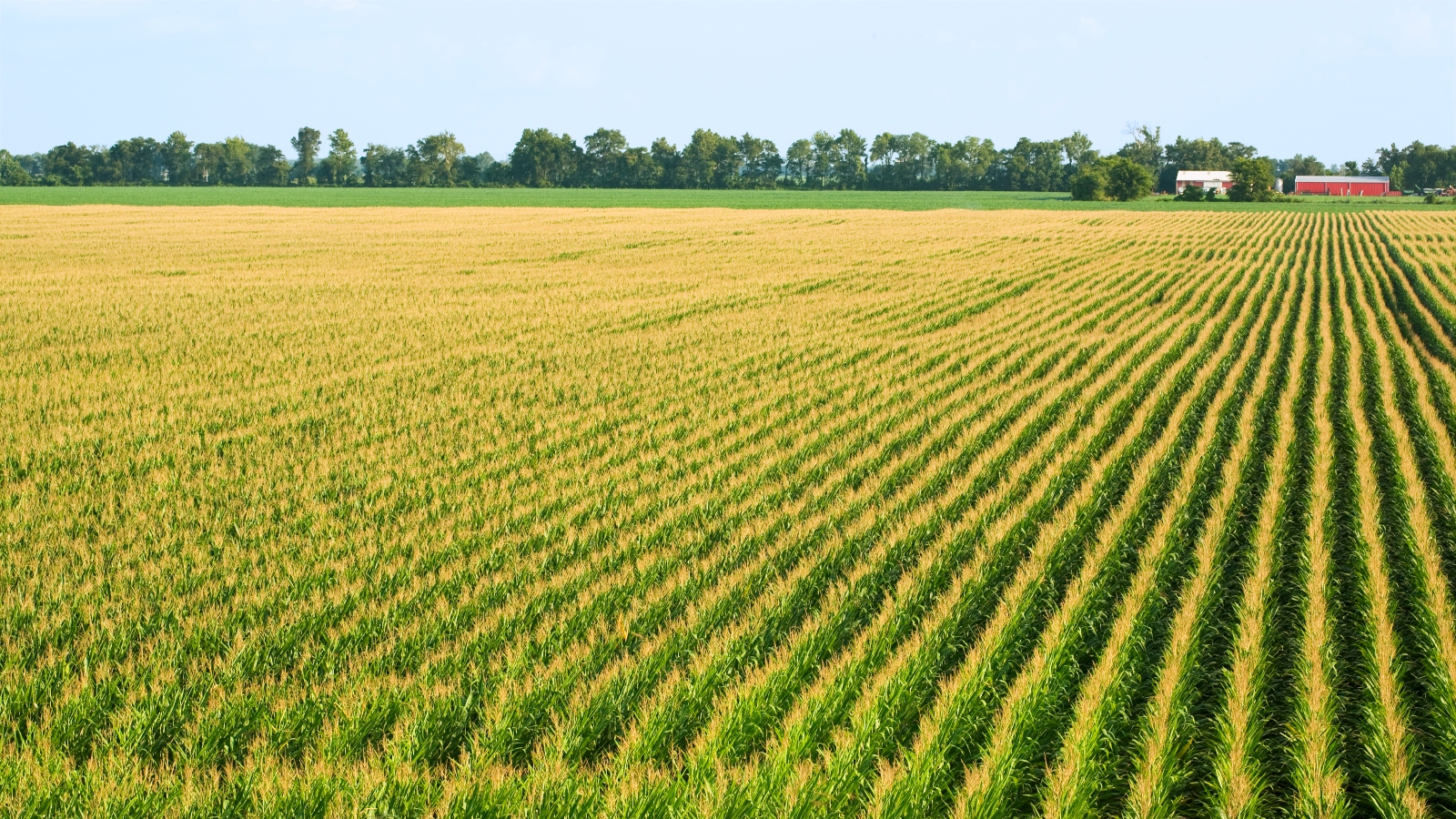 Climate experts say spring is coming earlier. How will that affect agriculture and ecosystems?