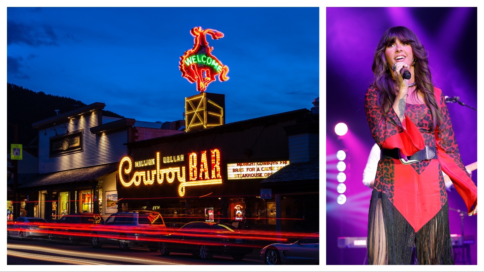 Cowboy State Daily logo