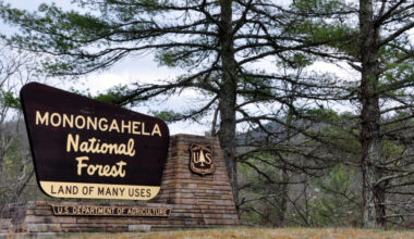 Sierra Club enlists the public for help in a fight against the rend of the roadless declation.