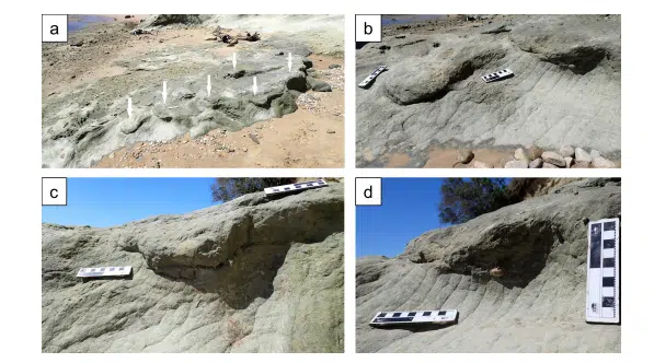 Multi Angle Views Of Cretaceous Dinosaur Tracks Preserved In The Brenton Formation Along South Africa’s Coast, Showing Footprint Impressions Across Flat Surfaces And Cliff Faces.