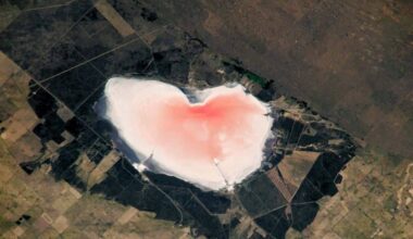 NASA caught a 10-kilometer pink heart in Argentina