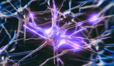 Alzheimer's Risk Gene Alters Brain Activity Early – But It May Be Reversible : ScienceAlert