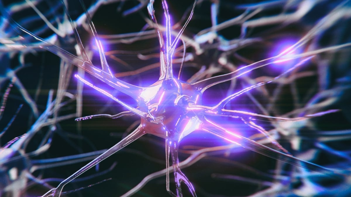 Alzheimer's Risk Gene Alters Brain Activity Early – But It May Be Reversible : ScienceAlert