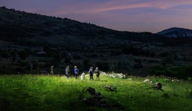 Only Fools Believe We’re Alone in the Universe: Here’s Why