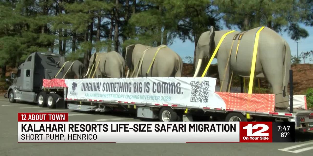 Life-size elephant sculptures appear at Short Pump Town Center