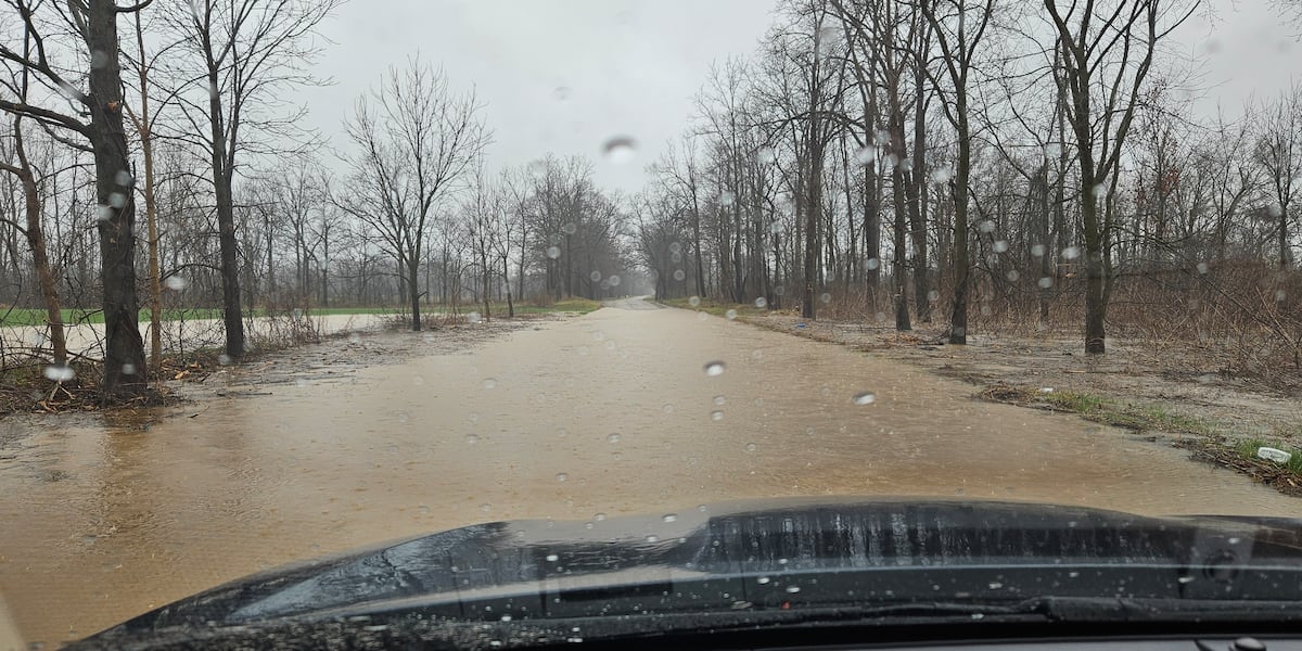 Heavy flooding causes sewage discharge into the Grand River