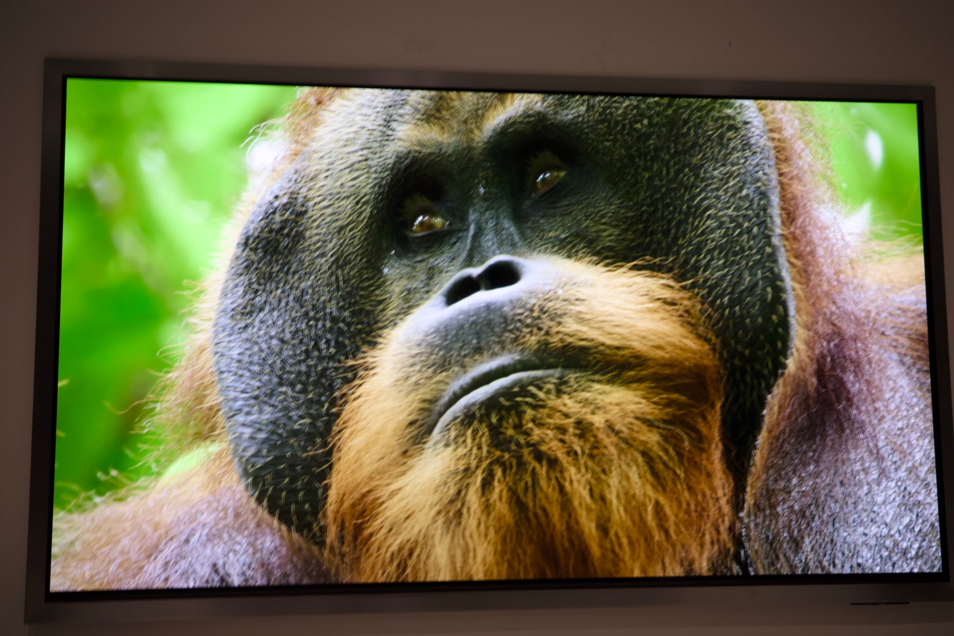 Samsung S95h Oled 1