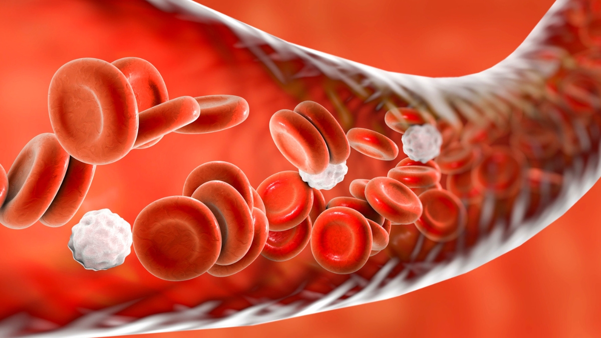 Scientists May Have Found a New Cause of High Blood Pressure, And a Way to Treat It : ScienceAlert