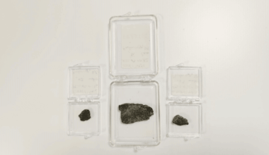 Scientists Analyzed Martian Meteorites And Uncovered Materials No One Ever Expected