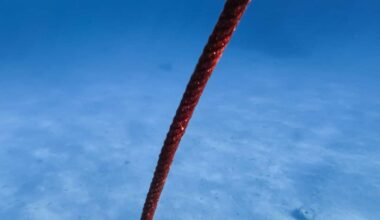 Scientists Dropped A 10 Kilometer Underwater Cable And It Detected 56,000 Hidden Events Beneath Glaciers