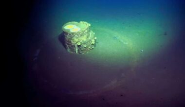 Scientists Have Discovered Mysterious Barrels Encircled By Strange White Halos On The Ocean Floor