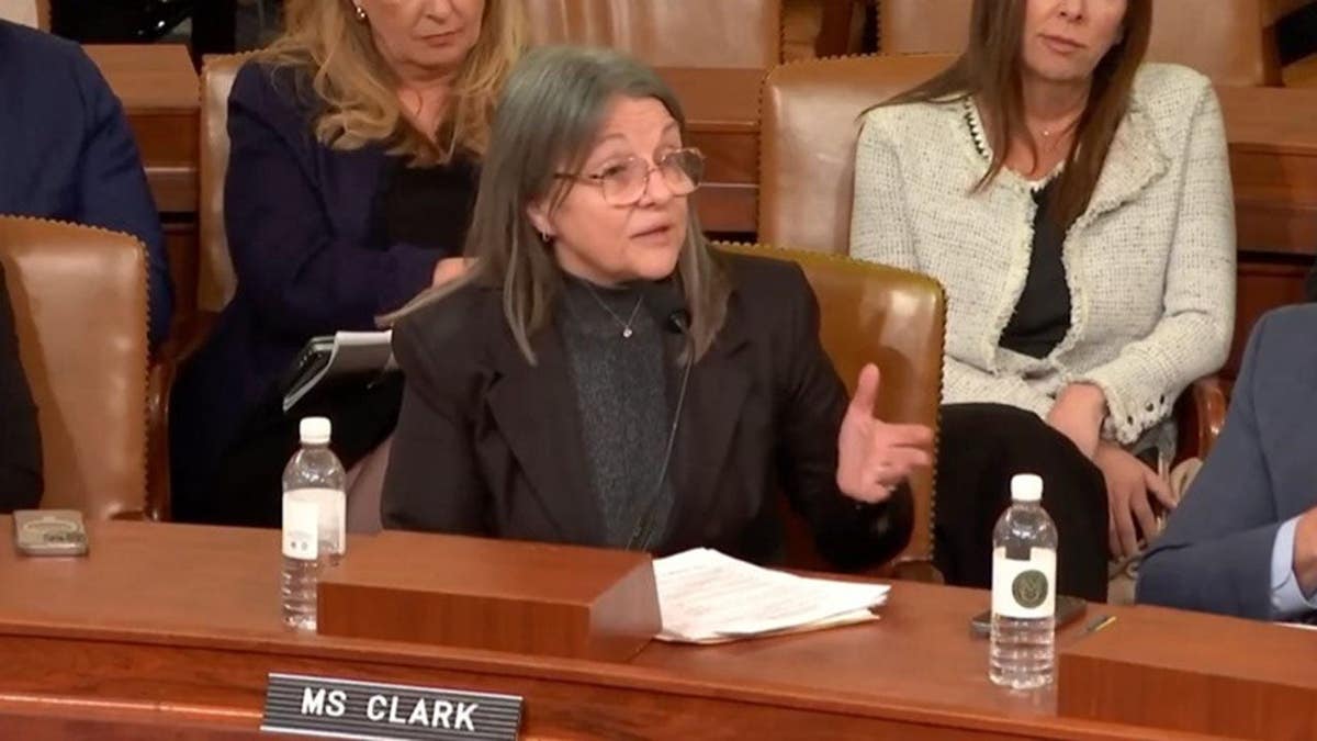 Sheila Clark, the president and CEO of the California Hospice and Palliative Care Association (CHAPCA), testifies before Congress.