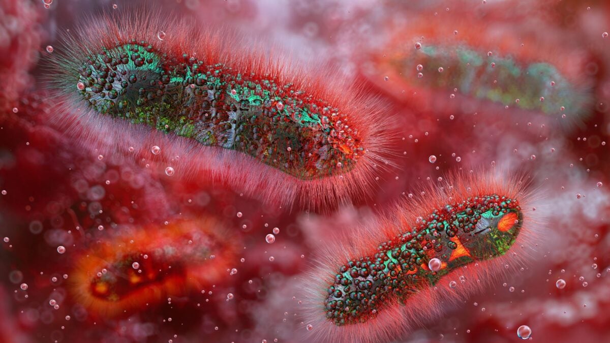 A Diarrhea-Causing Superbug Is on the Rise, Health Officials Warn