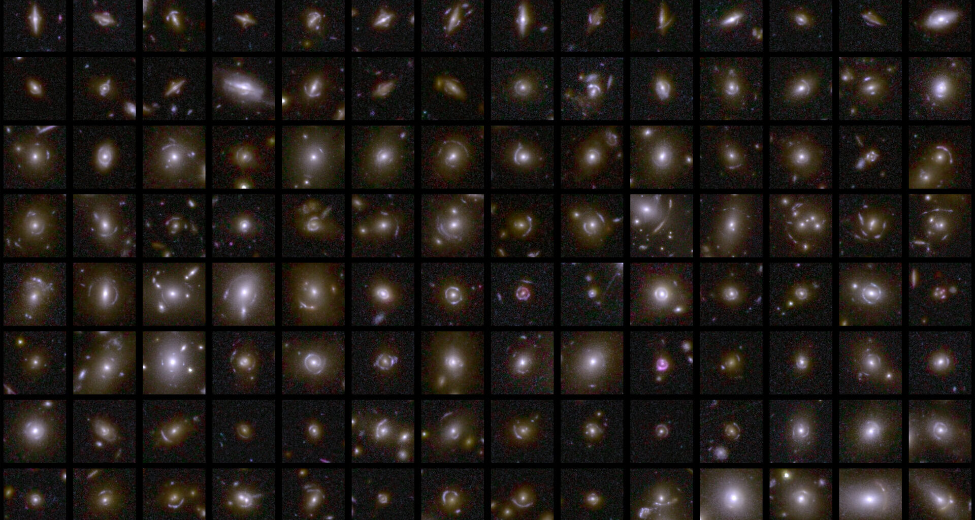 Strong gravitational lenses captured by Euclid