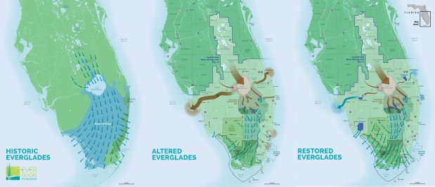 These three maps represent historic Everglades flow, altered flow and the eventual restore flow once the Comprehensive Everglades Plan is complete. (Everglades Foundation)