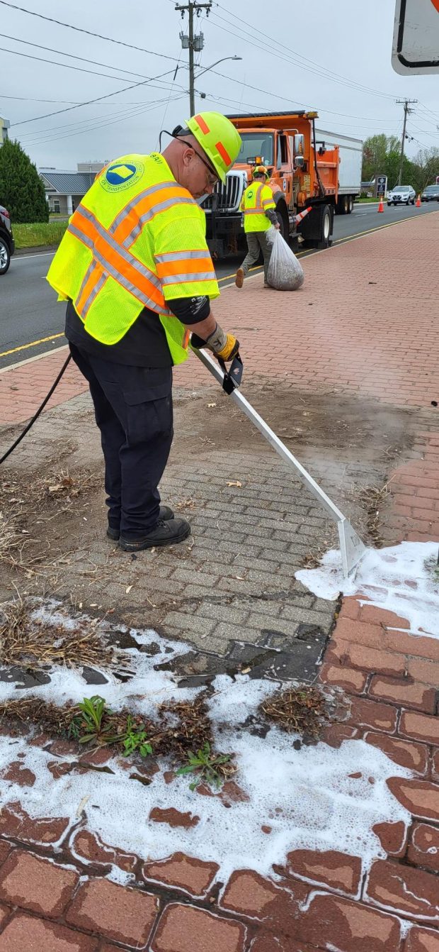 Foamstream is one of the environmentally safe options being used to kill invasive growth in the state.
