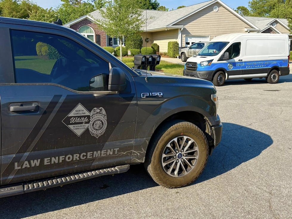 Officials responded to a report of an alligator in Southport, N.C.