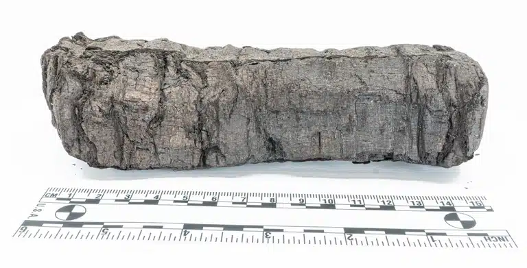 The Exterior Of The Scroll Is Too Damaged And Carbonized To Open Physically