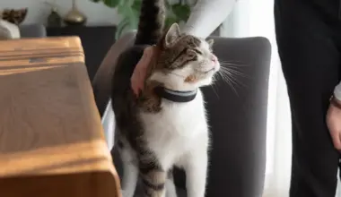 Tractive pet trackers